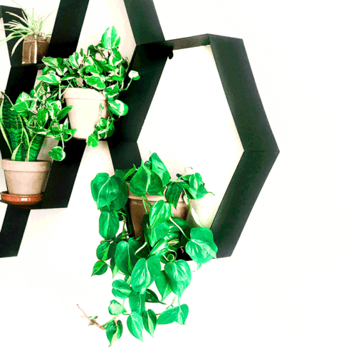 מדף קיר משושה לעציצים