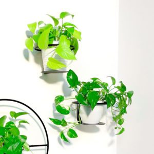 מעמד לעציץ ממתכת צלחת מעופפת - מעמדים לעציצים