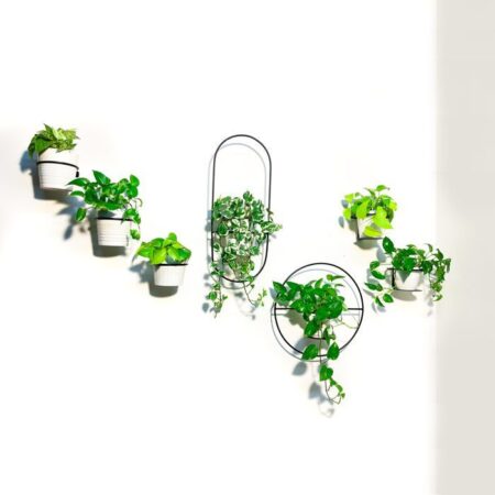 מעמד לעציץ קלאסי לקיר "העציץ המרחף"