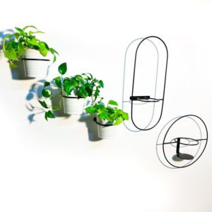 מעמד לעציץ קלאסי לקיר "העציץ המרחף"