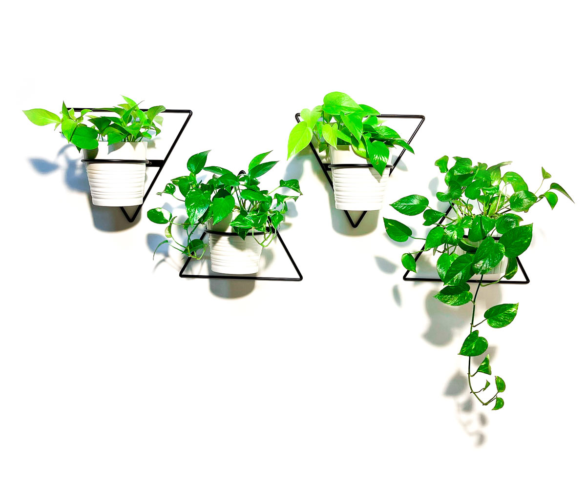 planter.co.il