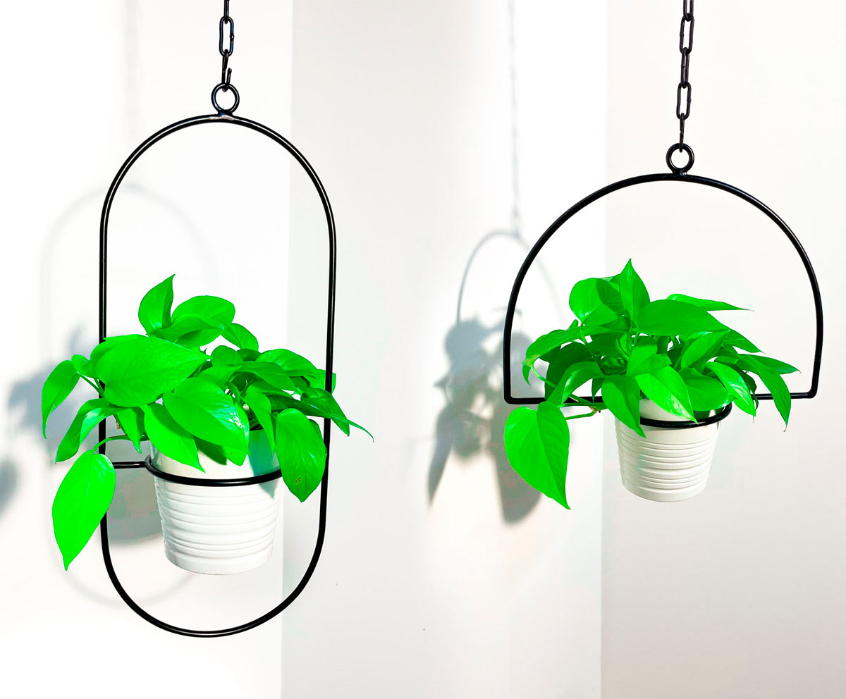 planter.co.il