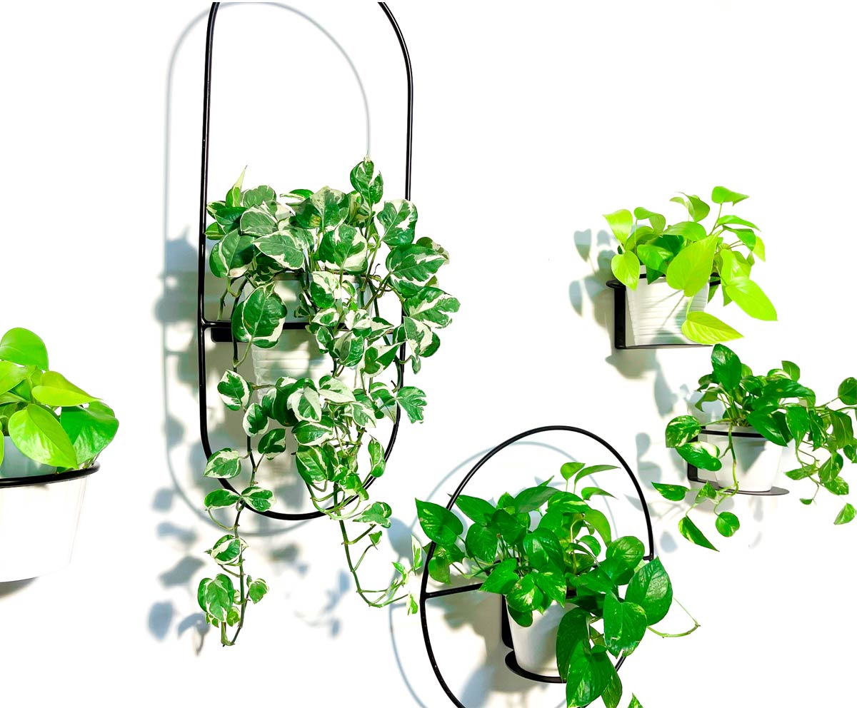 planter.co.il