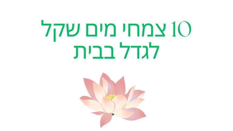 10 צמחי מים שקל לגדל בבית