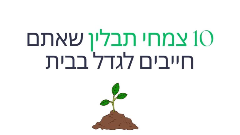 10 צמחי תבלין שאתם חייבים לגדל בבית