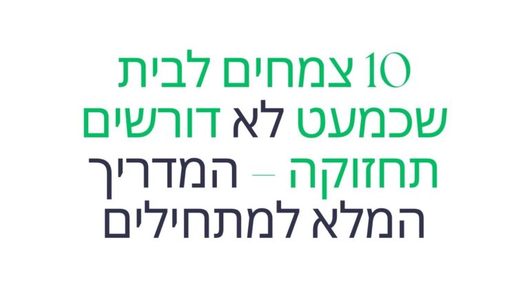 10 צמחים לבית שכמעט לא דורשים תחזוקה – המדריך המלא למתחילים