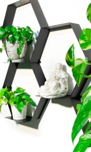 מעמדים לעציצים