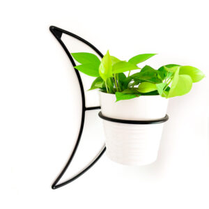 מעמדים לעציצים - מעמד לעציץ ירח