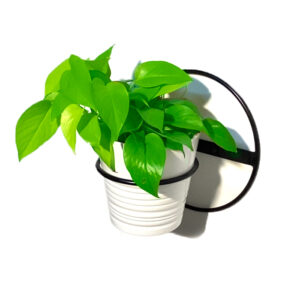 מעמדים לעציצים - מעמד לעציץ עגול