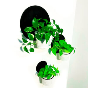 מעמדים לעציצים עגולים