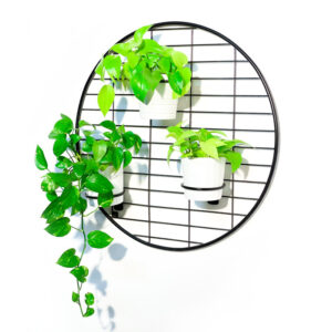 מעמדים לעציצים - רשת לעציצים