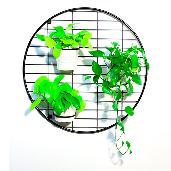 מעמדים לעציצים - רשת לעציצים