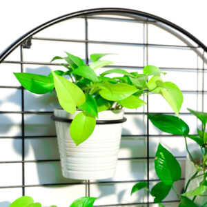 מעמדים לעציצים - רשת לעציצים